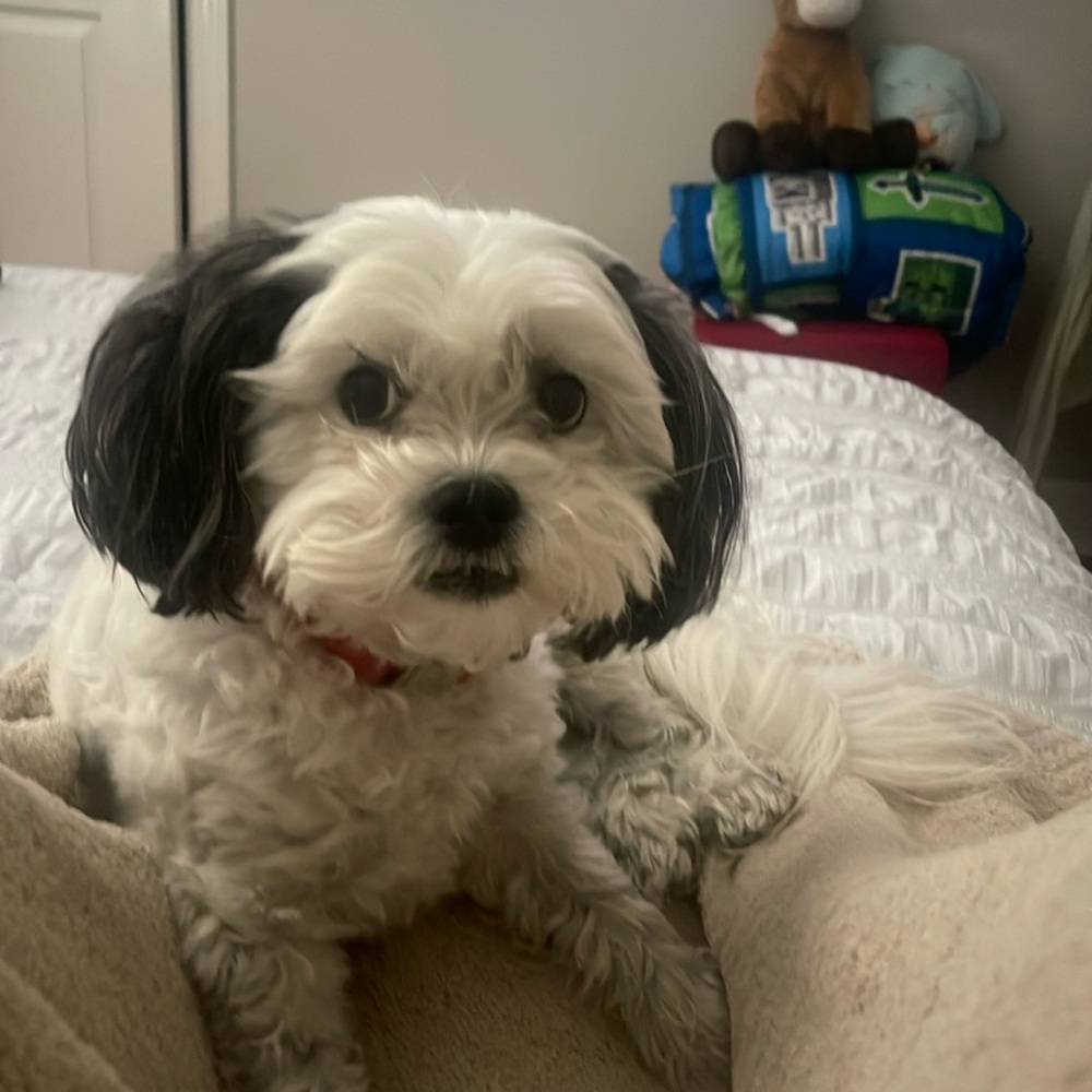 Meet your Posher, Shelli